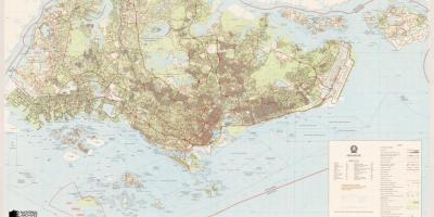 نقشه توپوگرافی سنگاپور