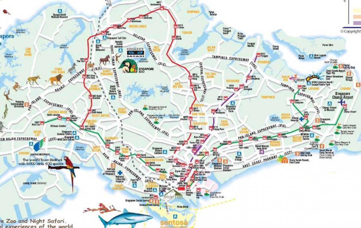 نقشه راه سنگاپور