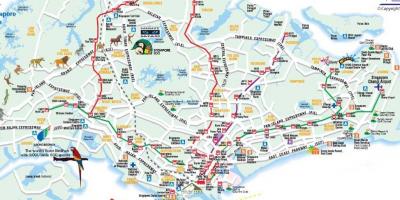 نقشه راه سنگاپور